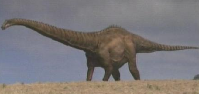 驚愕のスケール地球の歴史に残る巨大生物たちその ニチャオプ報道 Nicha Op Coverage