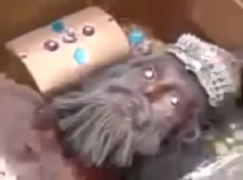 キャプチャ