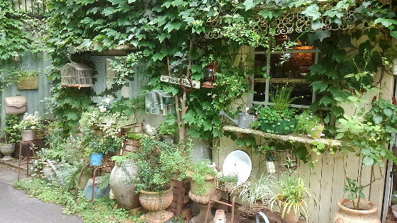 6月15日埼玉吉見町オープンガーデン 私の庭くぼくら のブログ