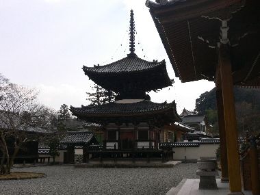 niwadani_tiiki%20043.jpg