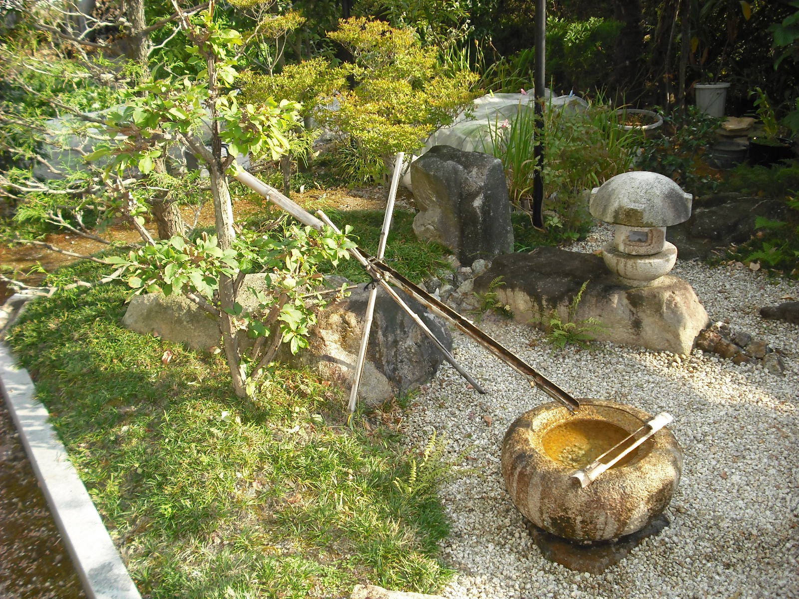 水のある庭 庭右衛門ブログ