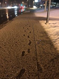 重い雪 Denverでgeology 重い雪 Denverでgeology