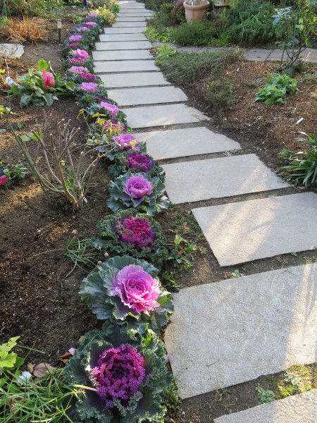 シモツケの紅葉と玄関周りの花達 庭の草花にときめいて シモツケの紅葉と玄関周りの花達 庭の草花にときめいて