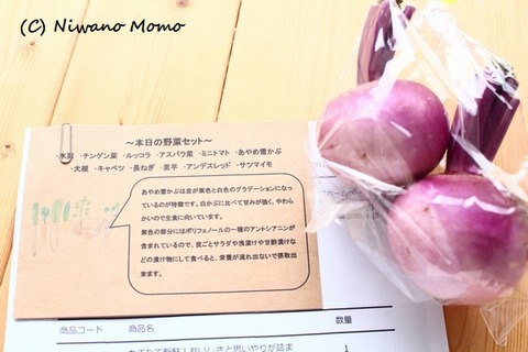 tagoto_magokoro_07