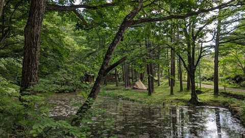 PXL_20240616_071212951 (3)