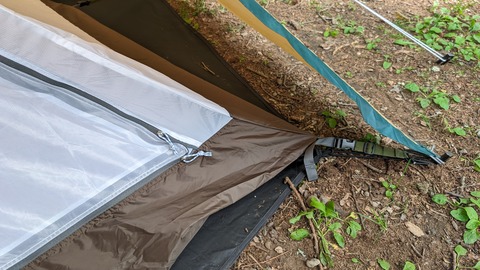 PXL_20240616_062242893