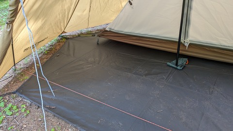 PXL_20240616_060051832