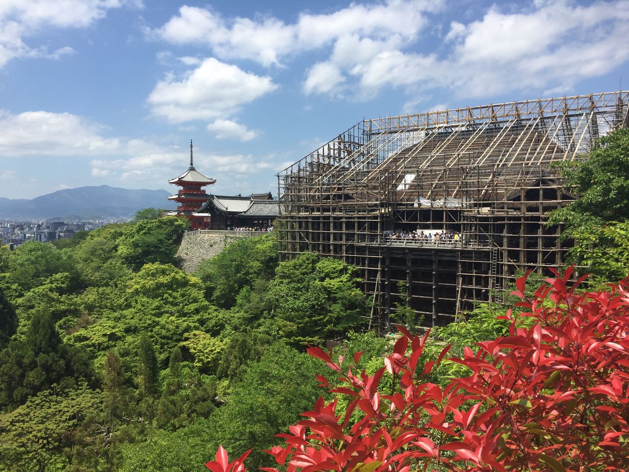 京都への旅 2 30代会社員の旅日記