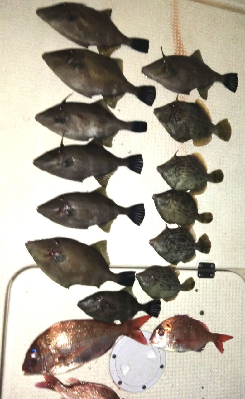 壬生川 釣り倶楽部 壬生川 釣り倶楽部