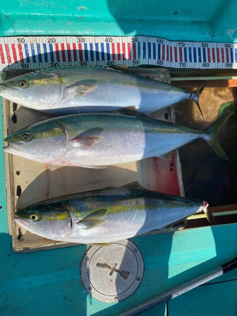 壬生川 釣り倶楽部 壬生川 釣り倶楽部