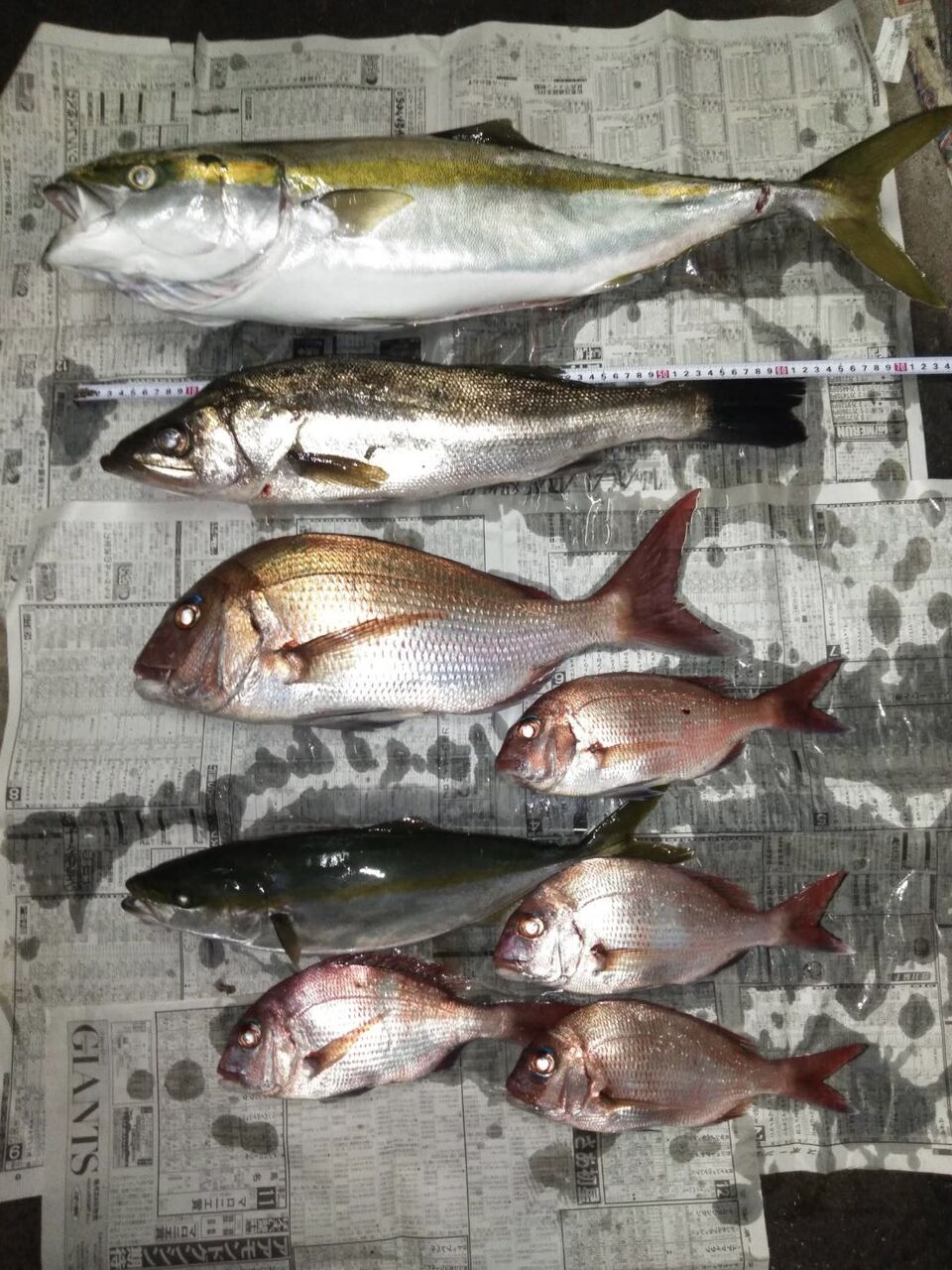 壬生川 釣り倶楽部
