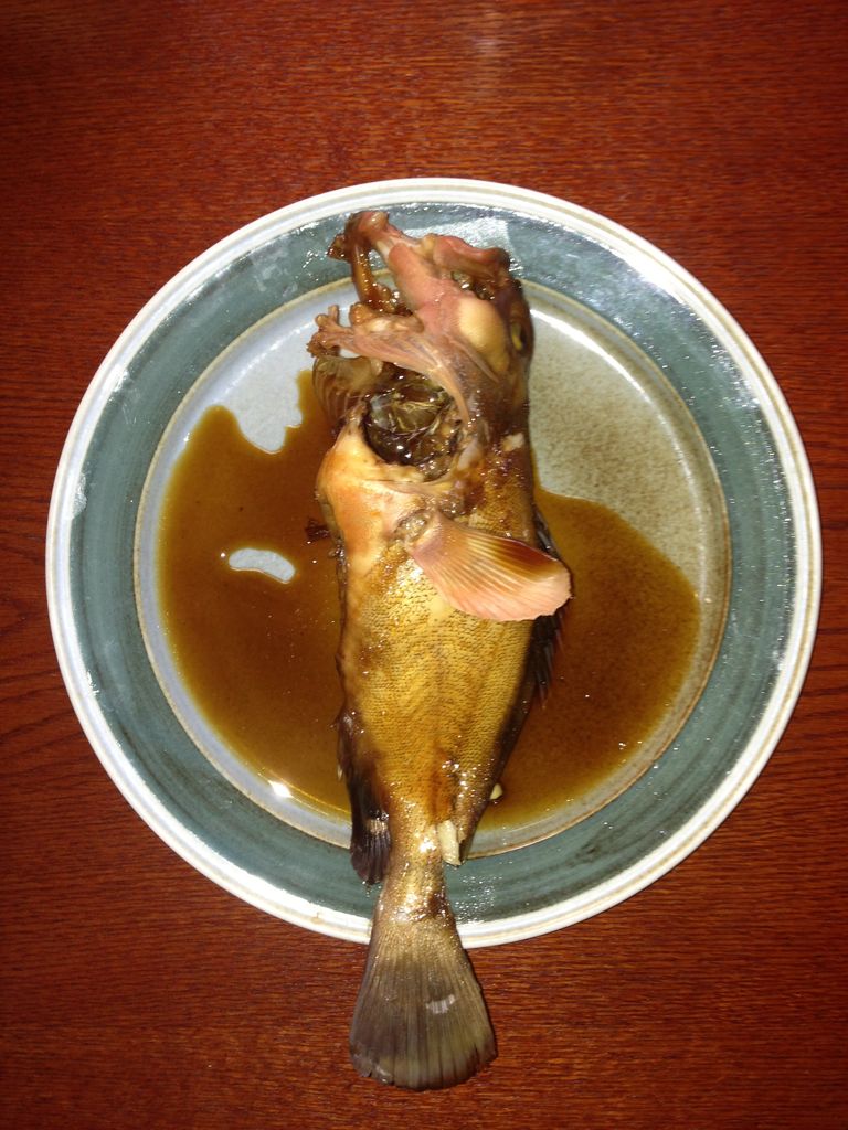 伯方島 鯛 アコウ 太刀魚 コチ 壬生川 釣り倶楽部