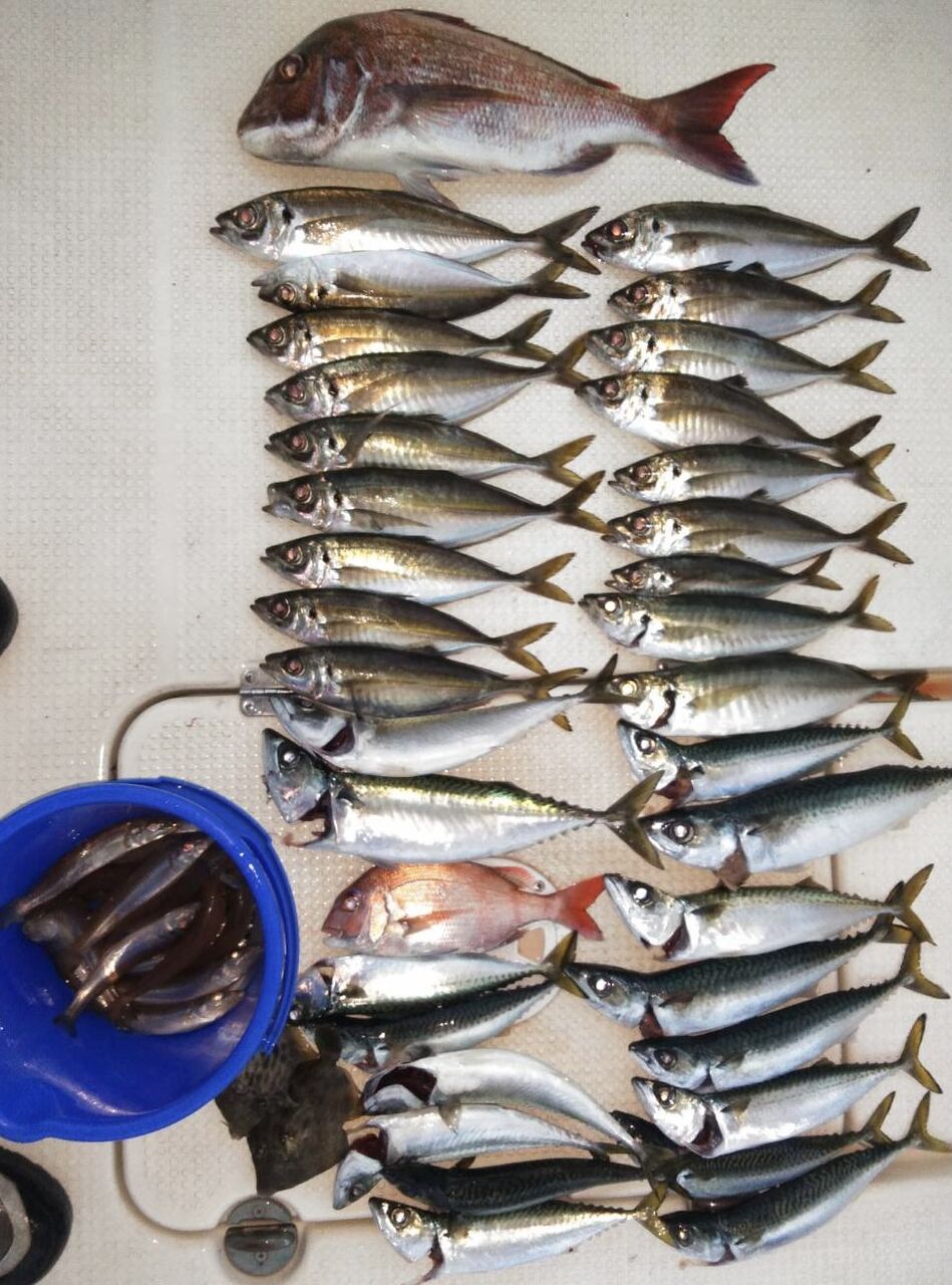 21年05月日 壬生川 釣り倶楽部 21年05月日 壬生川 釣り倶楽部