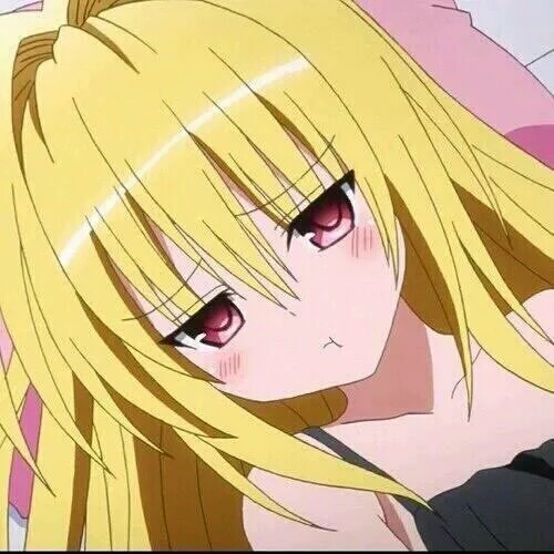 no title