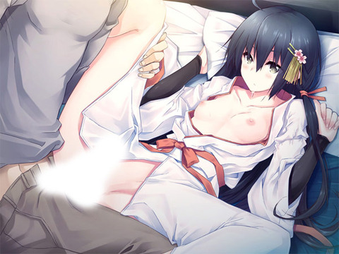 【エロゲ】ワイ、部屋でエロゲしたいのに今日は家族がずっと家にいるのトップ画像