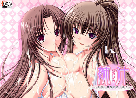 【エロゲ】アホ「このエロゲ泣ける」俺「なるほど」のトップ画像