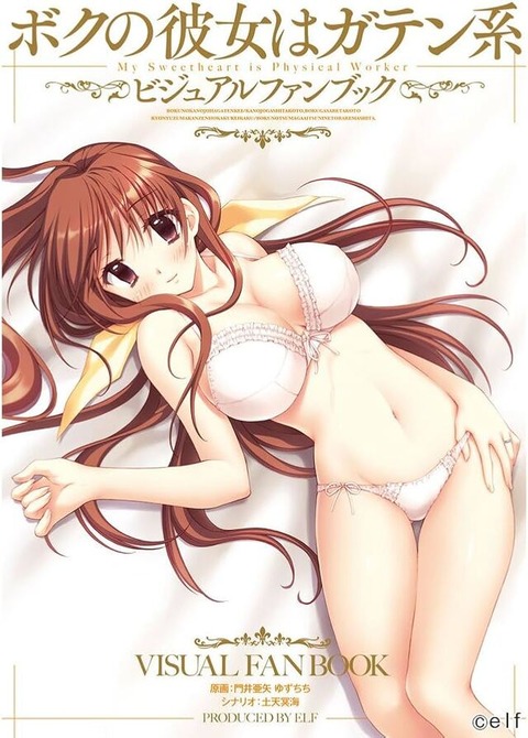 【エロゲ】エロゲやりたいんやが初心者におすすめのない？のトップ画像