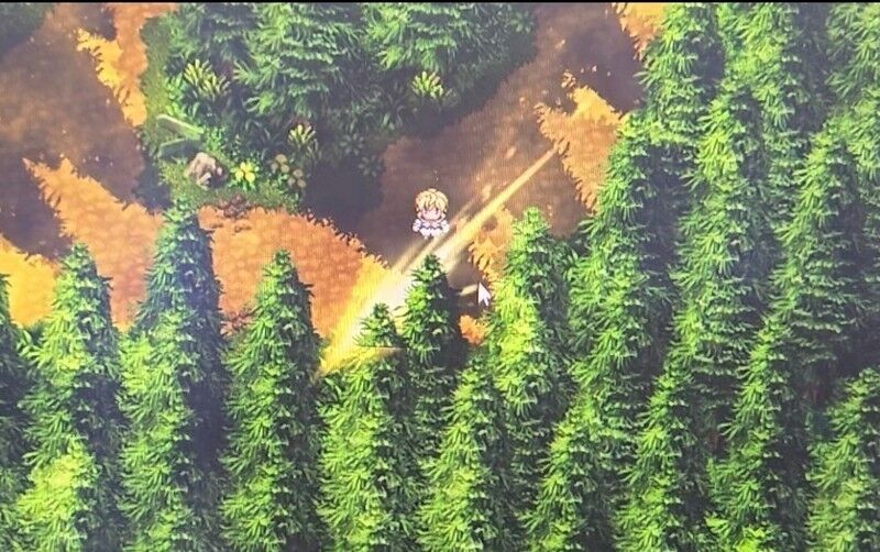 【同人エロゲ】狭い通路に回避できない量の敵を配置するのやめろよ…