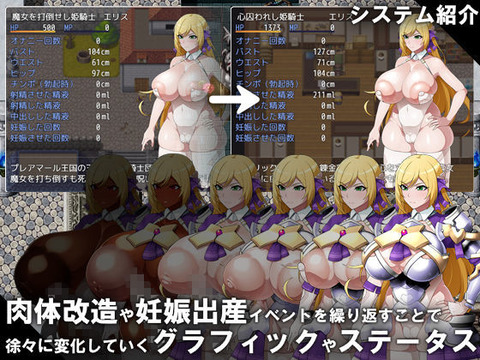 【同人エロゲ】姫騎士「SEXでもなんでもするっ！あなたの赤ちゃんも産むから殺さないでっ！」のトップ画像