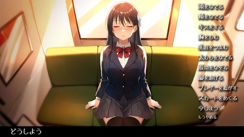 【同人エロゲ】「睡眠痴○電車」26年05月31日発売のエロ同人ゲームのトップ画像