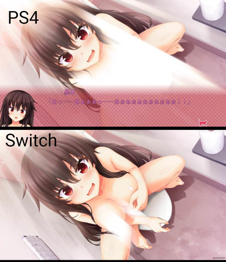 悲報 Ps4とswitchのエロ格差がひどいｗｗｗｗｗ 虹萌えニュース速報