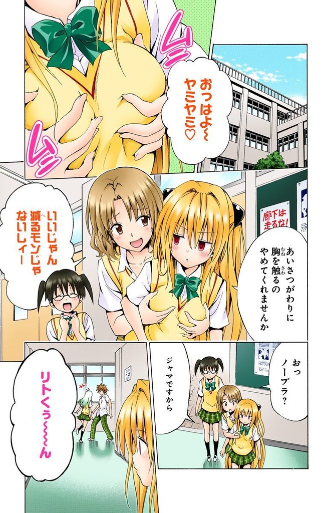 エロ画像 Toloveる古手川のでかでかおっぱいでふっくらりん 虹萌えニュース速報