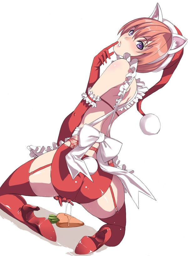 サンタ　エロ画像 (44)