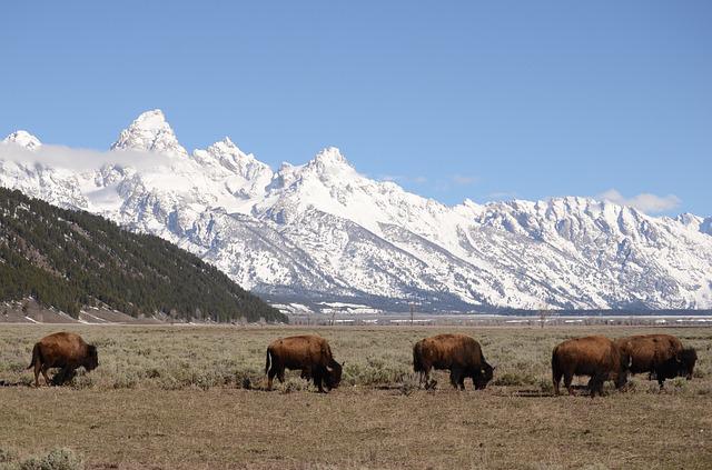 tetons-gf8a49c4bf_640