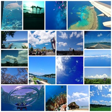 collagemaker_2019107420615