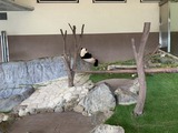IMG_0813