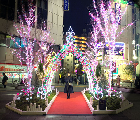 2019113041