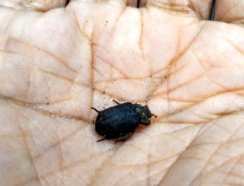 IMG_20190620_211153~2