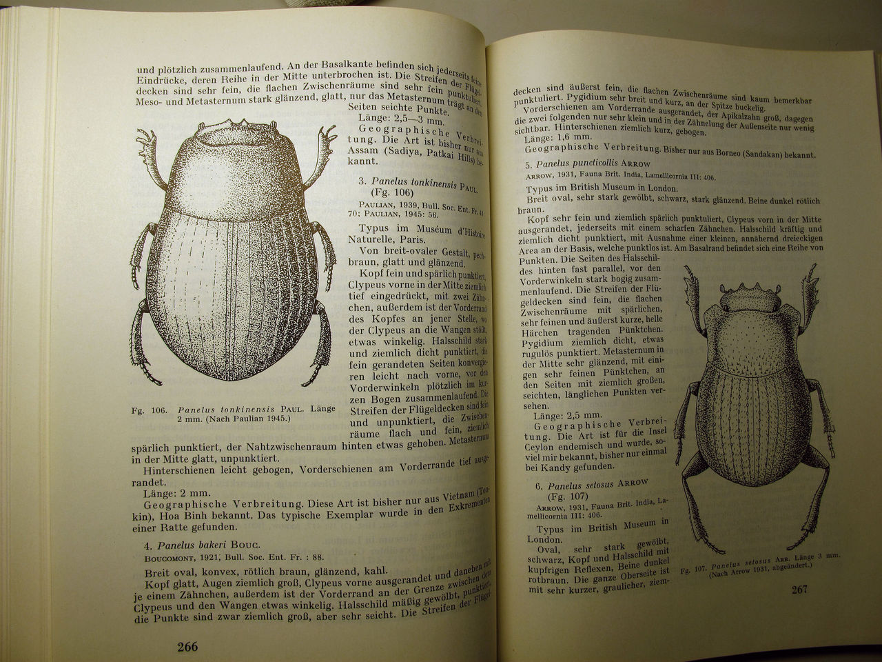 やままゆ書房で糞虫の本を購入 むしむしブログ