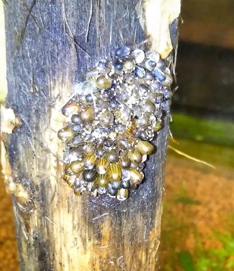 IMG_20190726_203837~2