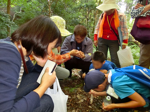 2018_1021_糞虫４-1