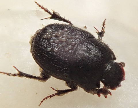 P7230062-1