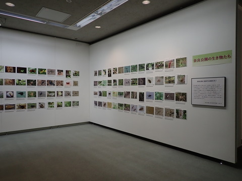 P7110031