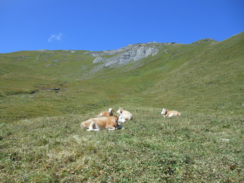 DSCN3239