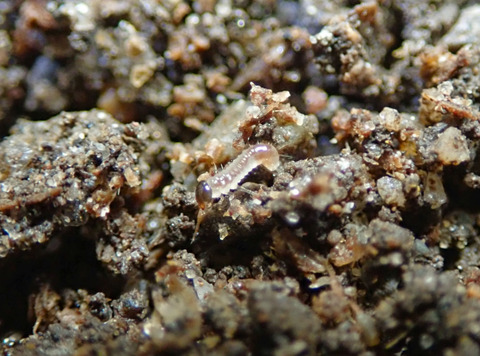 P4010129-1