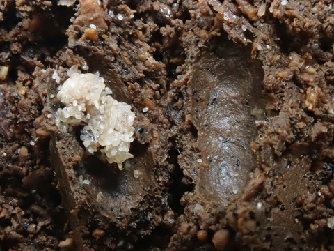 P7270147-1