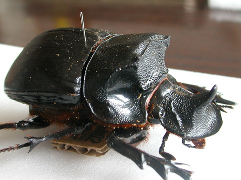 Img2004-09-12_0010