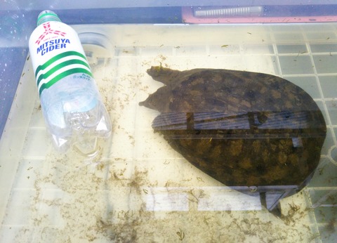 IMG_20190709_091329~2