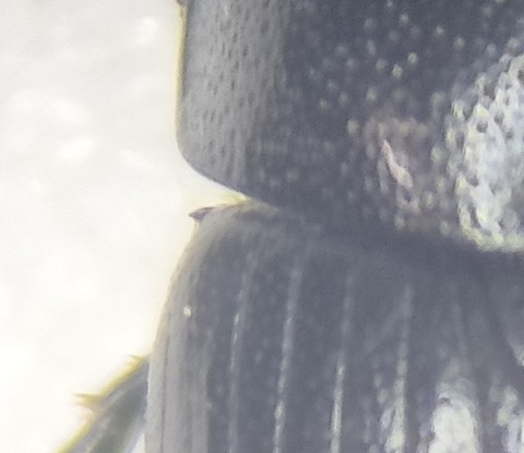 IMG20260430204250