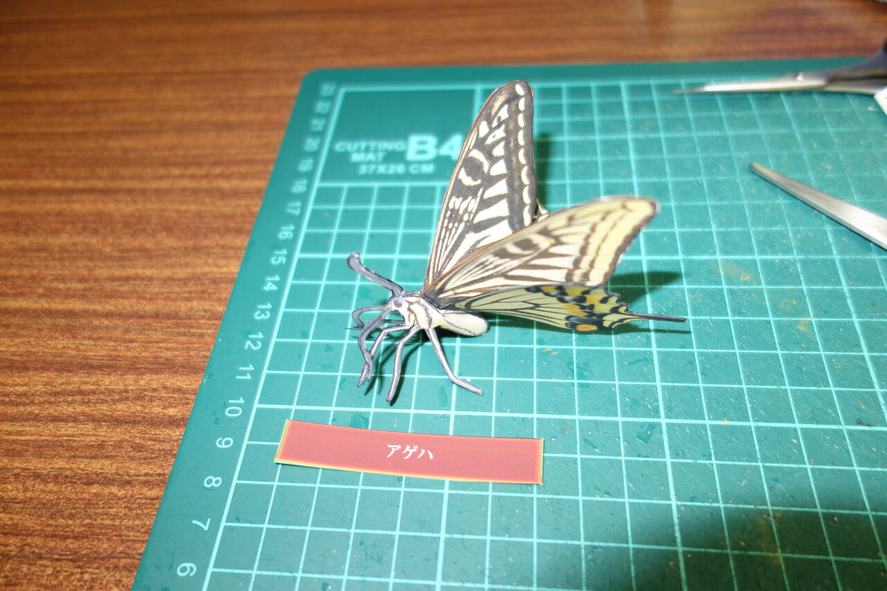 カブトムシ 11 完成 素人のペーパークラフト製作日記part2