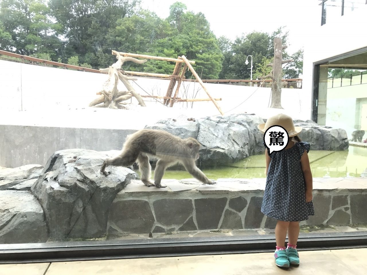 豊橋総合動植物公園 のんほいパーク あいち三河 遊び場研究所