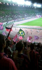 11ff18d1.jpg