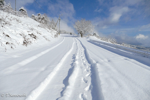 雪景色 (1 - 1)-2