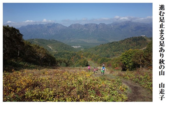 進む足止まる足あり秋の山