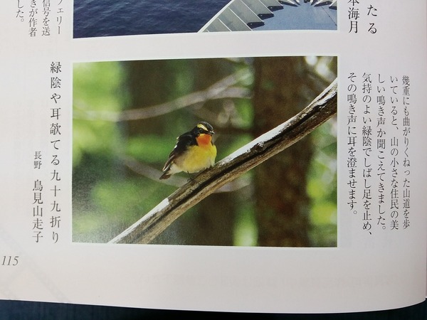 俳句界7