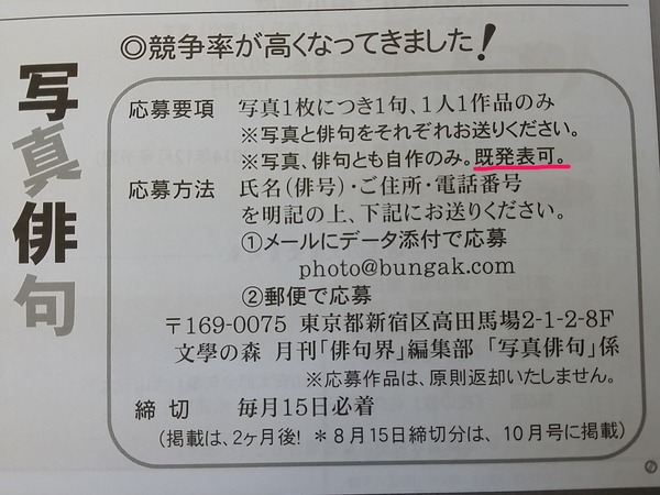 俳句界2_R
